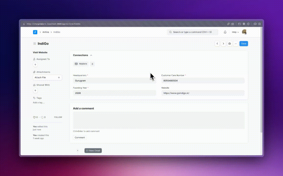 Demo Video Showing Custom Website Link in Airline Form View