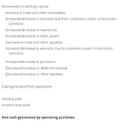 Custom Cash Flow Format