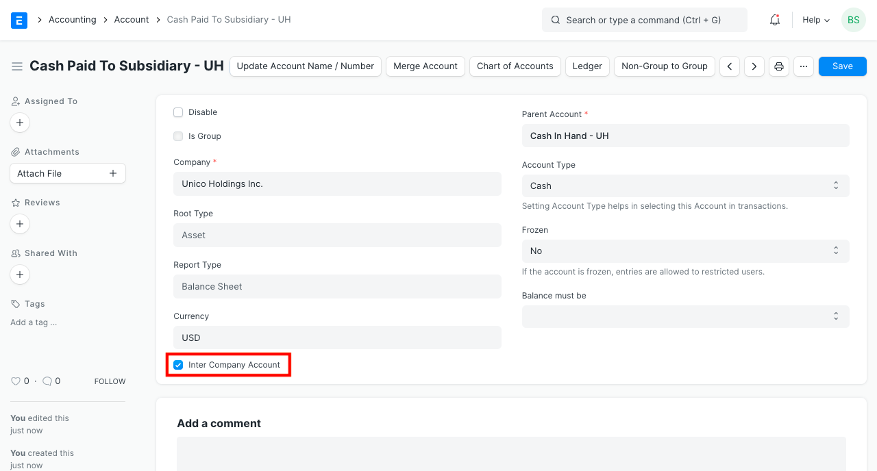 Ledger For Intercompany Transactions