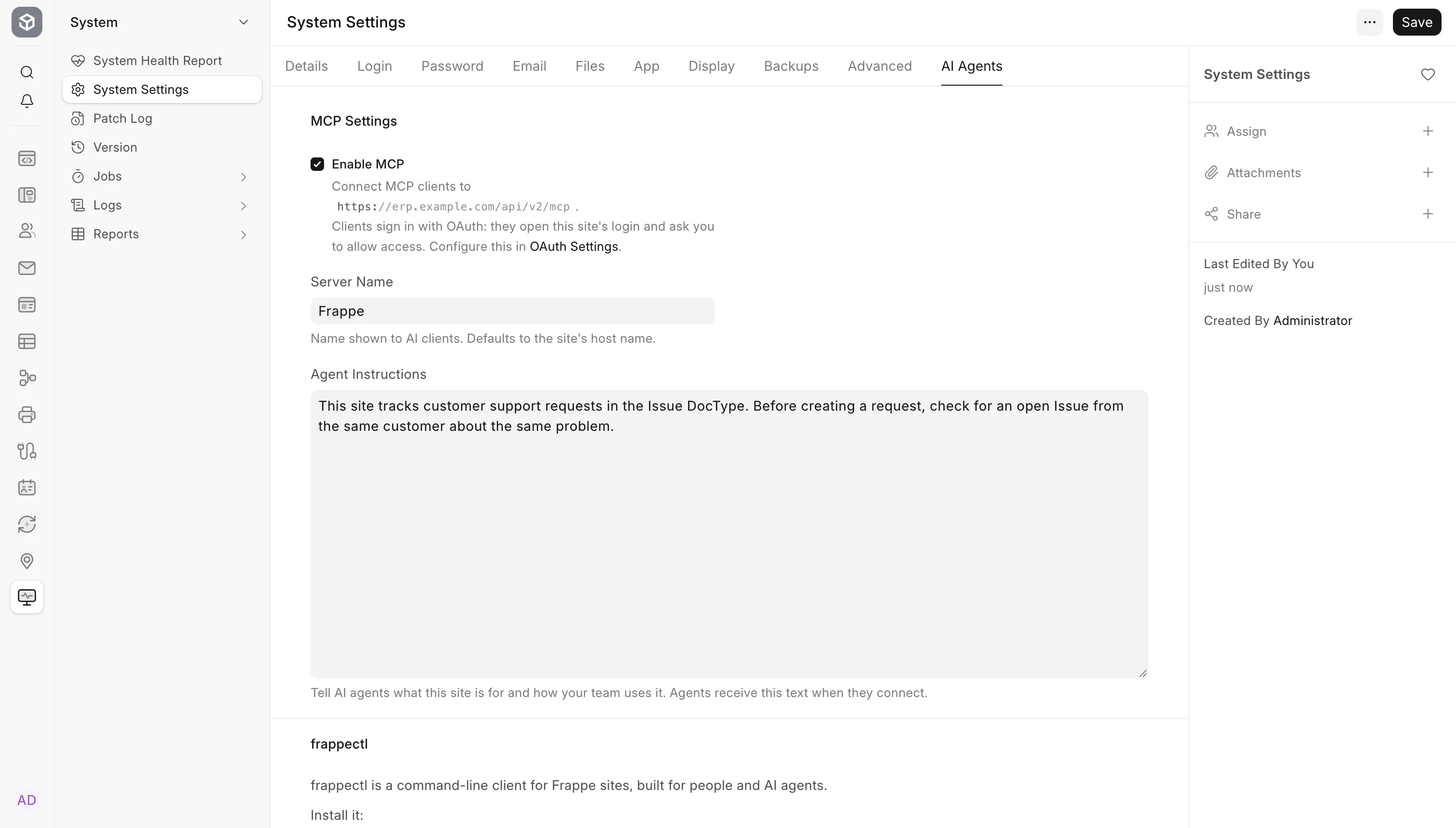 Set a name for MCP clients and add site-specific guidance.